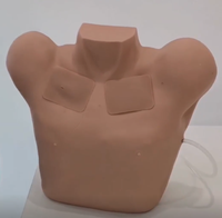 Modèle de Drainage Thoracique pour la Formation en Ponction de Pneumothorax et Hydrothorax – Simulateur de Formation Clinique