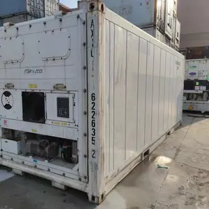 Shanghai 20 reefer shipping container for sale