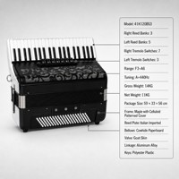 Accordéon portable 41 touches 120 basses, instrument de musique pour scène professionnelle, solo, groupe, examen de niveau et performance