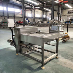 Máquina cortadora de pescado congelado en seco fresco eléctrica automática cortador de línea de pesca - Product Image 5