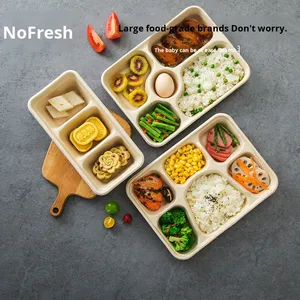 Bandeja de comida desechable de pulpa con 4 compartimentos, embalaje para llevar, ecológico y biodegradable - Product Image 4