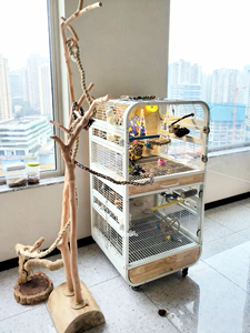 <span class=keywords><strong>Cage</strong></span> à perroquets de luxe moderne et spacieuse, en verre transparent, construction en fer et bois, design style villa, gain de place, anti-éclaboussures, montage facile - Product Image 4