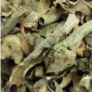 Produits alimentaires et boissons à base <span class=keywords><strong>d</strong></span>'<span class=keywords><strong>ortie</strong></span> - Product Image 5