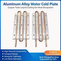 Plaque de refroidissement liquide microcanal en aluminium sur mesure pour IGBT de nouvelle génération, dissipateur thermique disponible pour traitement de surface OEM