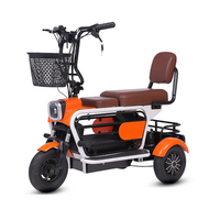 Tricycle Électrique de Transport Personnalisé pour Animaux de Compagnie et Personnes Âgées, Véhicule à Trois Roues pour la Mobilité, Direct Usine AFTFA