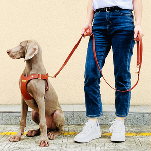 정품 가죽 조정 가능한 재고 도매 맞춤형 서양 스타일 편안한 소형 및 대형 개 하네스 및 가죽 끈 세트 - Product Image 5