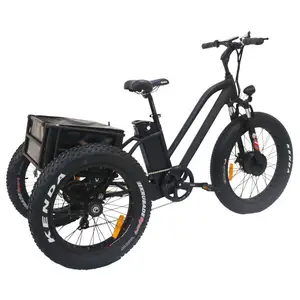 E trike 성인 세발 750 와트; 성인 삼륜차 오토바이 성인 trike 코스터 브레이크 허브; 성인 trike 키트 자전거 26 인치 2019