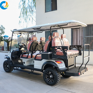 Robetaa 可定制 6 座电动高尔夫球车舒适观光载客车，适用于度假村和社区使用 - Product Image 4