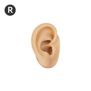 Modelo de Oído de Silicona 5D - Herramienta de Enseñanza de Puntos de Acupresión, Exhibición de Auriculares y Joyería para Aretes - Product Image 4
