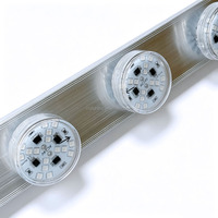Lumières LED RGB AC24V 48mm à capuchon plat en plastique pour parcs d'attractions et fêtes foraines, 1-16 points, préprogrammées E14