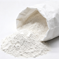 Bentonite de Calcium Blanche en Poudre Grade 2 – Bentonite Anti-agglomérante Économique pour la Construction, la Fonderie, les Engrais et les Eaux Usées