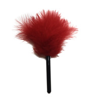 Plume de stimulation pour jeux de rôle pour adultes, accessoires BDSM, jouets sexuels