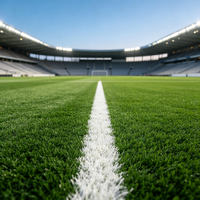 Gazon artificiel pour le sport, gazon synthétique pour terrain de football, terrain de sport