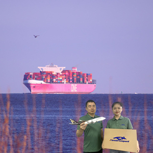 Топ-10 логистических компаний, обслуживающих маршруты доставки, стоимость Китая в Европу, США, Великобритания, Франция, Италия, Испания, Канада, Австралия, Япония - Product Image 5