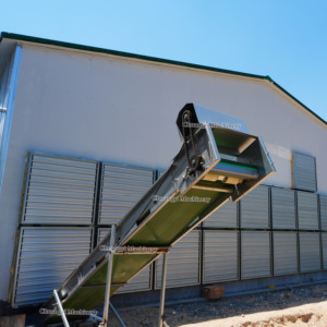 Nouveau convoyeur à fumier automatique incliné CHUANGYI pour cages à poulets cailles en acier allié zinc-aluminium-magnésium - Product Image 2