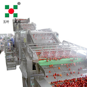 Iqf dây chuyền chế biến đông lạnh trái cây dâu tây đông lạnh - Product Image 5