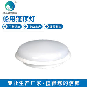 Lumière d'urgence CPD30-1 pour cabine/chambre marine, ampoule simple/double avec montage au plafond, lumière de store marine - Product Image 1