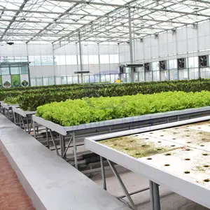 Aquaponics büyümek yatak ve aeroponik kulesi dikim ve hidroponik çin yeşil ev