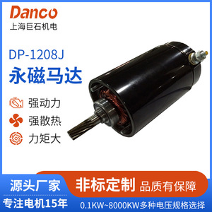 Motor de imán permanente de CC Dp-1208j de 0.1kw a 8000kw, multivoltaje para vehículos todoterreno y uso automotriz. - Product Image 4