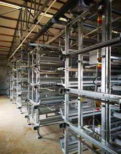 Nuevo sistema de jaulas de batería galvanizadas para 50.000 <span class=keywords><strong>aves</strong></span>, equipo automático de alimentación para gallinas ponedoras de granja - Product Image 5