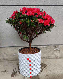 5갤런 친환경 HDPE 내구성 에어 루츠 화분 에어 프루닝 화분 식물 화분 - Product Image 4