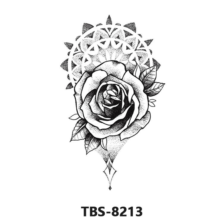 TBS8213