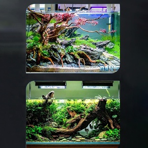 Aanpasbare Grootte Ultra Helder Glas Aquarium Ecologische Aquatische Plant Aquarium - Product Image 6