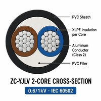 Cable de Alimentación ZC-YJLV de 2 Núcleos, Conductor de Aluminio, Aislamiento XLPE, 0.6/1kV Clase C, Revestimiento de PVC FR, IEC 60502 para Circuito Monofásico