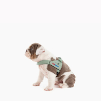 Harnais pour chien personnalisé en vert olive, facile à enfiler, avec sangles réfléchissantes, harnais réglable pour petites et moyennes races.