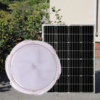 Fournisseur d'usine Lampe durable Panneau extérieur Alimenté par énergie solaire Lampe de plafond à économie d'énergie pour la maison