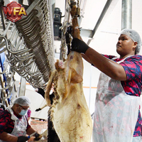 Machine d'abattage halal pour moutons, équipement d'abattage de chèvres à petite échelle en Arabie Saoudite, ligne de traitement automatique du mouton aux Émirats arabes unis