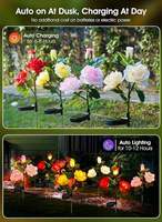 Lampe LED solaire extérieure étanche IP65 en plastique, motif rose, 3/5/7 têtes, pour décoration de jardin