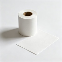 Papel Aislante Blanco DMD Modelo 6641, Lámina de Poliéster Dacron, Laminado Aislante Compuesto No Tejido