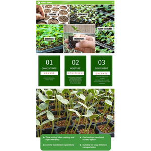 Bandejas de germinación para plantas, flores y vegetales, para viveros de jardín, duraderas, con 21/32/50/72/105/128 celdas, negras, tipo blíster - Product Image 4