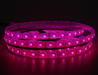 Tira de luz Rgb que cambia de Color DC12v 24V SMD 5050, tira de luz LED impermeable de Ambiente de 10mm, tira de luz de fondo