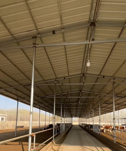 Abri pour bétail et moutons en acier sur mesure, grande capacité, robuste - Hangars pour animaux résistants aux intempéries, adaptés aux exploitations de ranch - Product Image 5