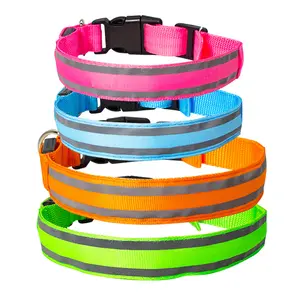 Accessori per animali domestici 2022 nuovi arrivi Logo sicuro lampeggiante Glow Up USB ricaricabile collare per cani e guinzaglio Set