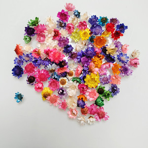 Vente <span class=keywords><strong>en</strong></span> gros DIY fleur sèche Brésil petite étoile fleur naturelle minuscules fleurs séchées pour résine époxy art ongles savon parfumé fabrication <span class=keywords><strong>de</strong></span> bougies - Product Image 1