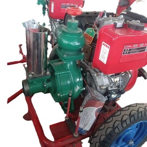 Bomba de Riego por Aspersión con Motor Diésel de Empuje Manual, Construcción Metálica para Uso Agrícola - Product Image 5