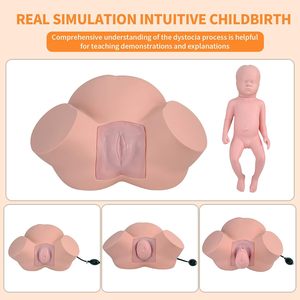 Simulador de Parto a Tamaño Real para Entrenamiento de Partería, Demostración de Parto, <span class=keywords><strong>Obstetricia</strong></span> <span class=keywords><strong>y</strong></span> <span class=keywords><strong>Ginecología</strong></span>, Fetal Normal <span class=keywords><strong>y</strong></span> Anormal - Product Image 3