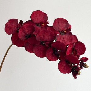 Venta directa de fábrica 41 pulgadas (aproximadamente 105cm) tallos de orquídeas de seda 9 cabezas orquídeas de seda <span class=keywords><strong>blanca</strong></span> para bodas eventos en casa - Product Image 5