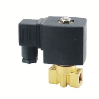 Vanne solénoïde miniature Darhor 170bar 150bar 220VAC 24VDC 1/4"BSP SS304 normalement fermée haute pression avec joint NBR