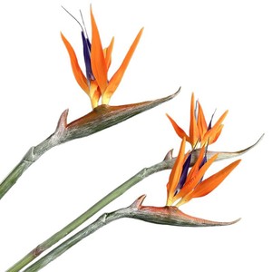 Fleur artificielle réaliste en PU de 97 cm, Fleur de l'oiseau de paradis à longue tige, Fleur tropicale artificielle <span class=keywords><strong>Strelitzia</strong></span> pour la décoration de vases de sol d'hôtel - Product Image 5