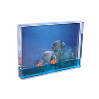 Cadre photo flottant en plastique transparent personnalisé 4x6 avec paillettes, cadre photo en acrylique aquatique avec flotteur de requin