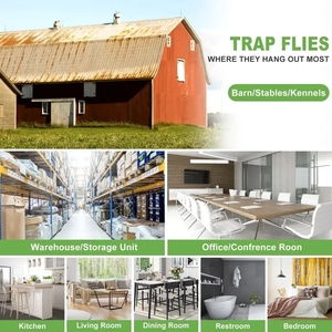 30 pièges à mouches pour fenêtres, bandes adhésives en papier, piège à mouches transparent pour la maison, tue-mouches domestiques, pièges à coccinelles - Product Image 2
