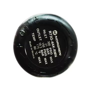 Nouveaux régulateurs de pression Norgren R73G-4GK-RMN Gold Seller - Product Image 5