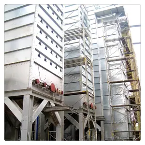 Low Cost Long Paddy Dryer Machine Parboiled Rice Drying Line Popularity In Africa