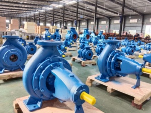 Bomba de Agua Centrífuga Horizontal de Gran Caudal y Alta Succión PASON, Venta Directa de Fábrica, 32-20~300-250, para Uso Agrícola - Product Image 4