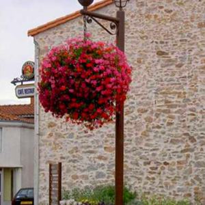 Panier vertical de jardinage de qualité supérieure, panier suspendu pour fleurs - Product Image 6