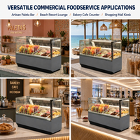 Vitrine Réfrigérée Commerciale pour Glaces et Sucettes Glacées, Double Zone, Verre Anti-Buée Chauffé, Congélation Rapide pour Magasin